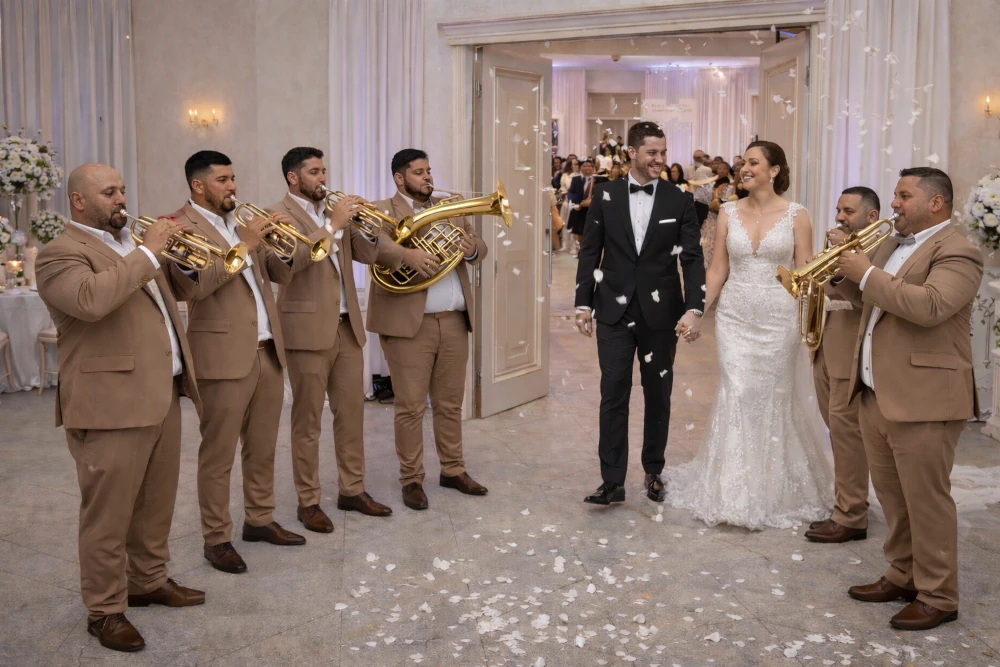 Pesme za ulazak mladenaca u salu